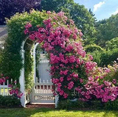 Create an English Garden retreat with Second Nature at Reads Creek