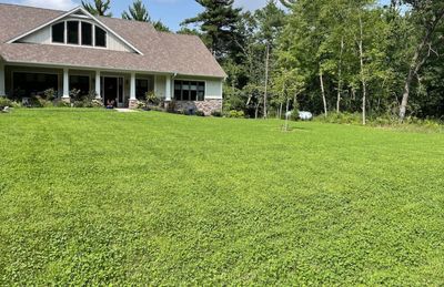 No-mow native flowering lawn view