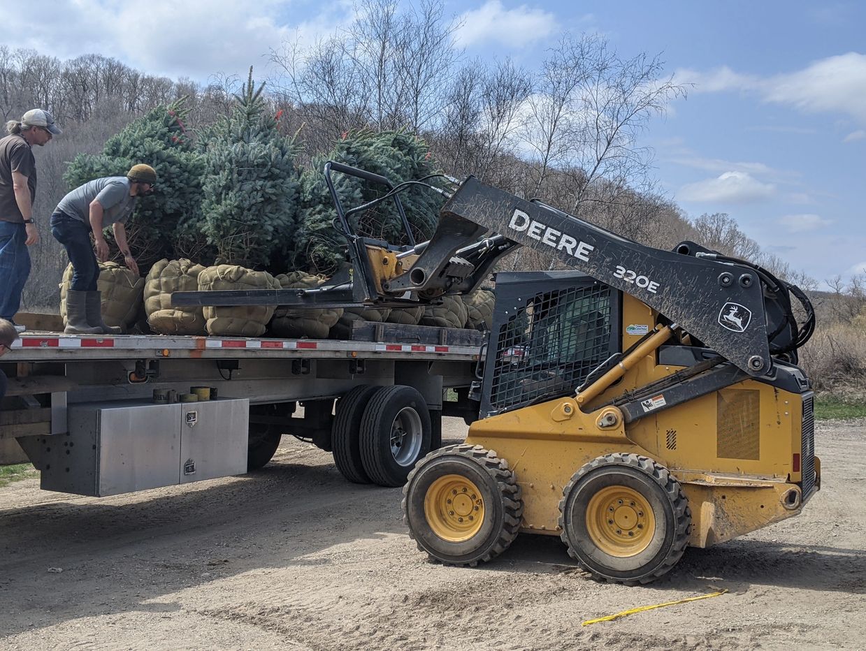 Unloading trees at Second Nature at Reads Creek