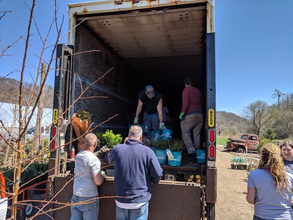 Unloading plants at start of season - Second Nature at Reads Creek