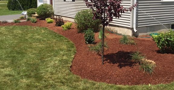 edged and mulched garden landscaping 