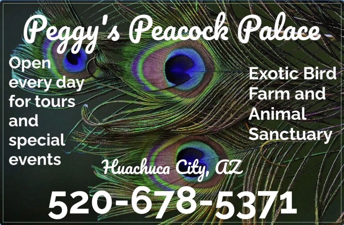 Jungle Animals Card. Frame Animal Tropical Leaves Greeting Baby Banner Zoo  Border Template Party Children Stock Vector - Illustration of herbivorous,  border: 142201114, image size:1096x718