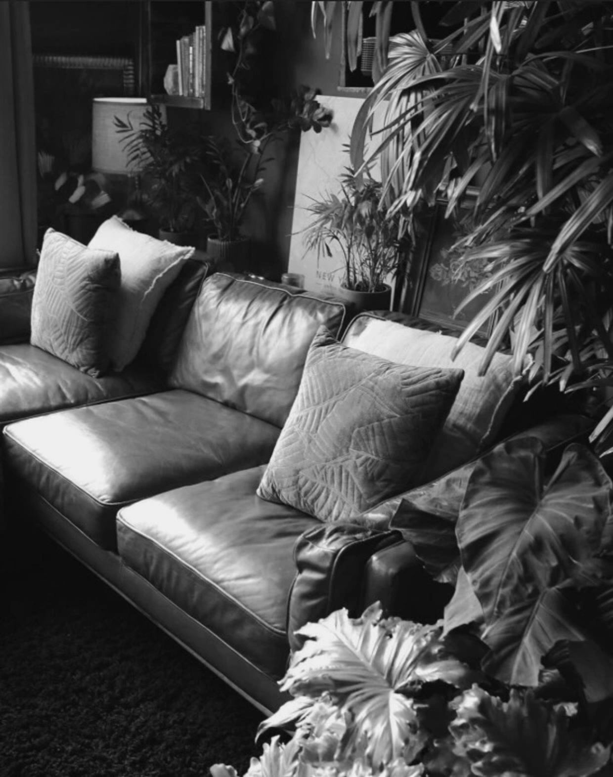 picture of couch in my office