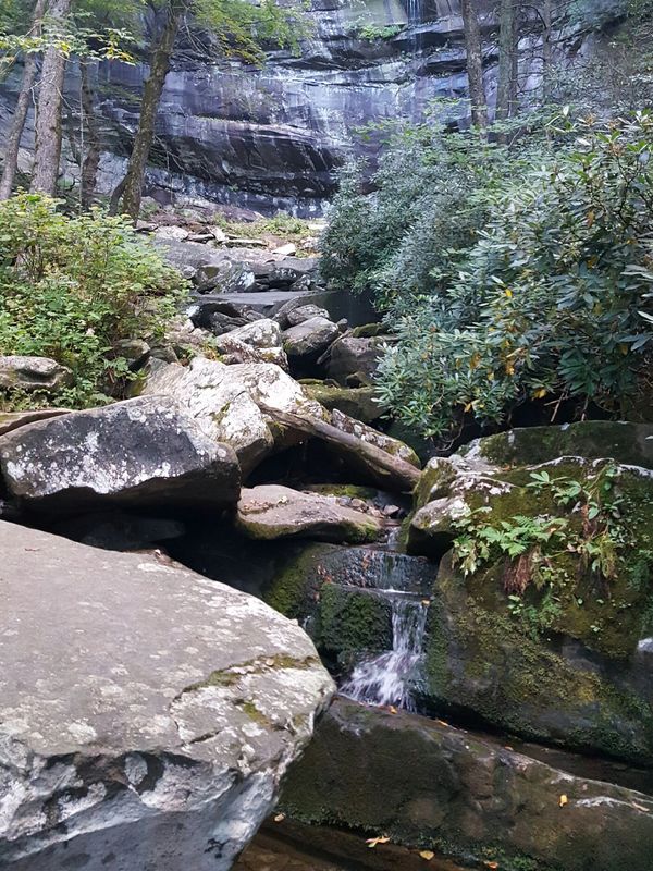 Rocky forest stream with a small waterfall.