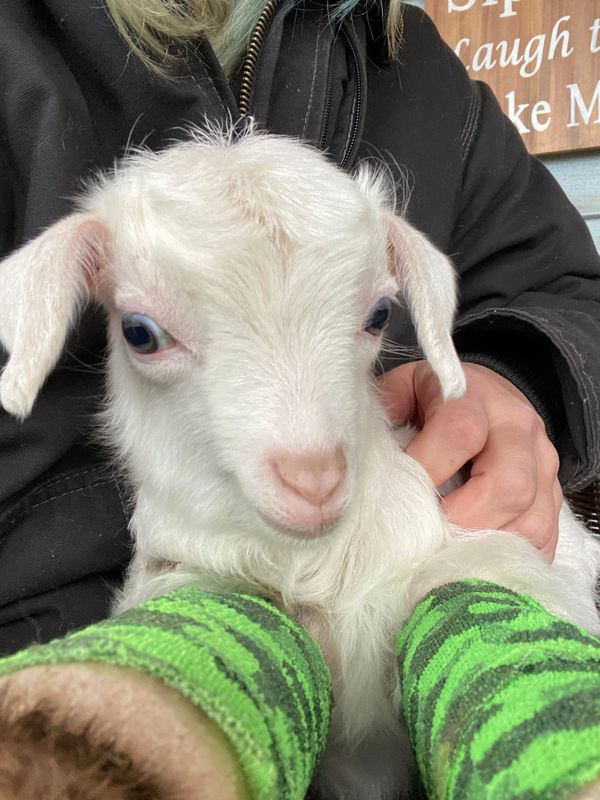 Max - just because he was so silly as a baby.