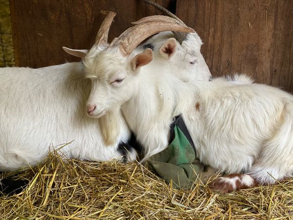 Adira and her son, Maximus