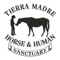 Tierra Madre Horse and Human Sanctuary