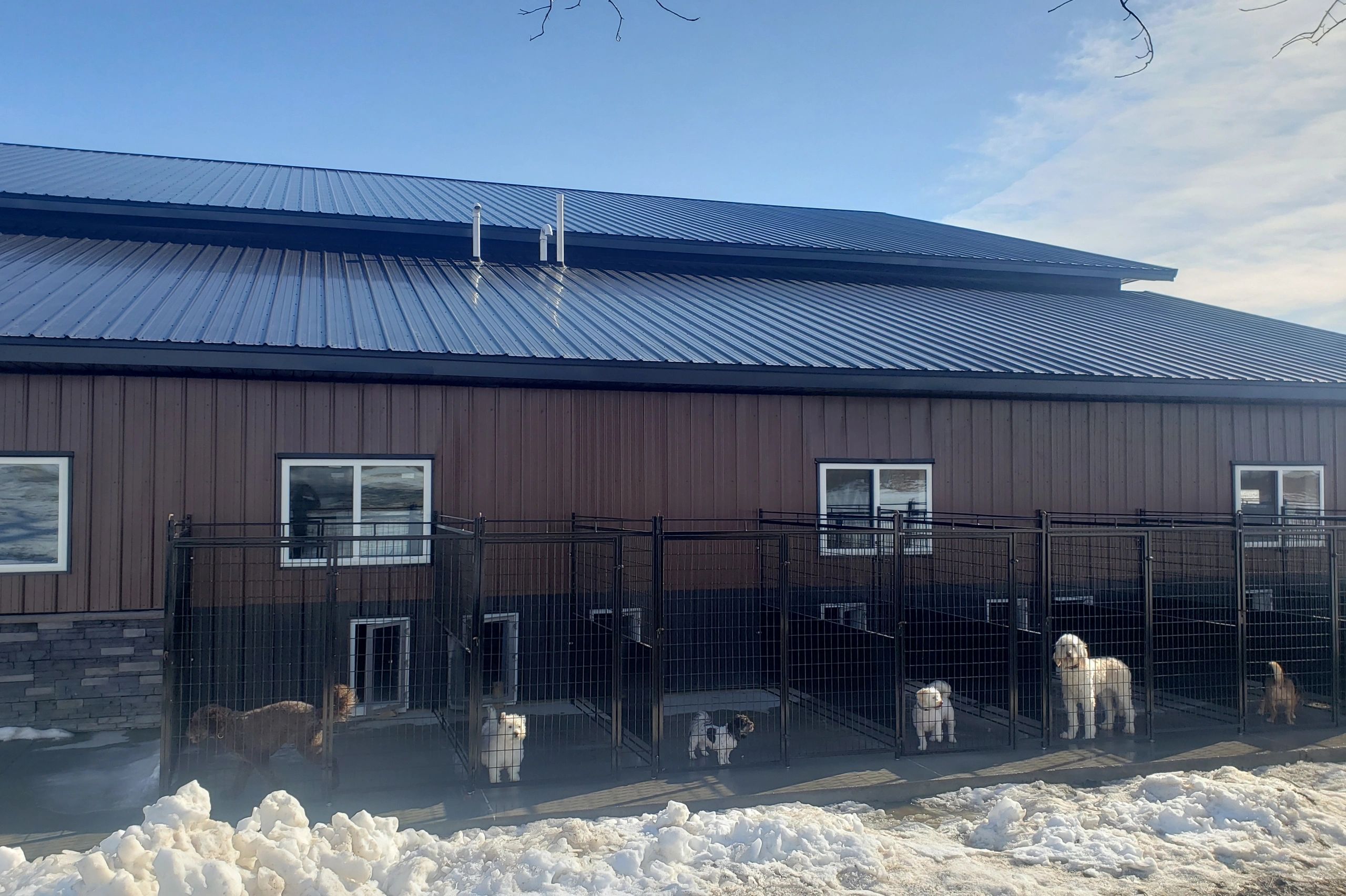 Boarding Grooming In The Dog House Llc Audubon Iowa
