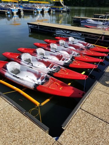 Kayak Rentals