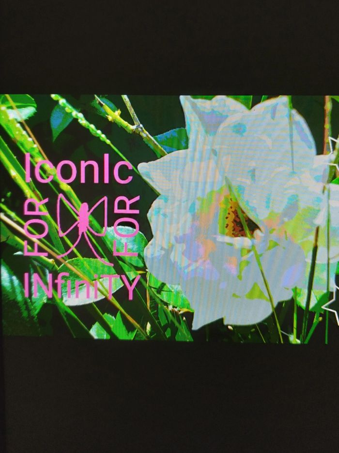 FANS * WORLD ART SOCIAL MEDIA * PAPARAZZI