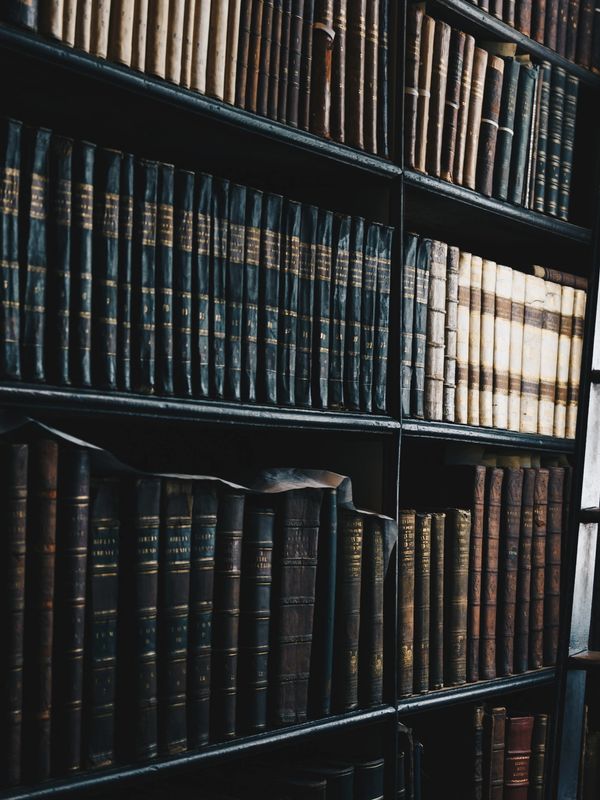 es un librero que refleja la experiencia y preparación de los abogados.