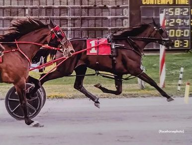 Two harness racing horses sprinting on a track near the finish line.