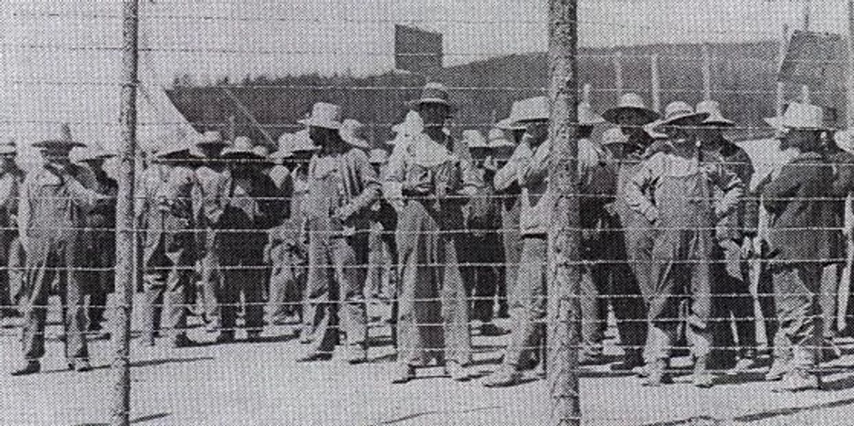 Prisoners of Camp 33