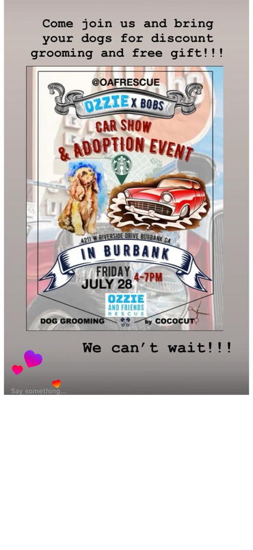 Flyer for a car show and adoption event with dog grooming in Burbank.