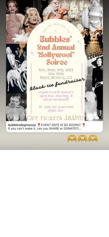 Invitation to Bubbles' 2nd Annual 'Hollywoof' Soirée fundraiser with dogs and glamour.
