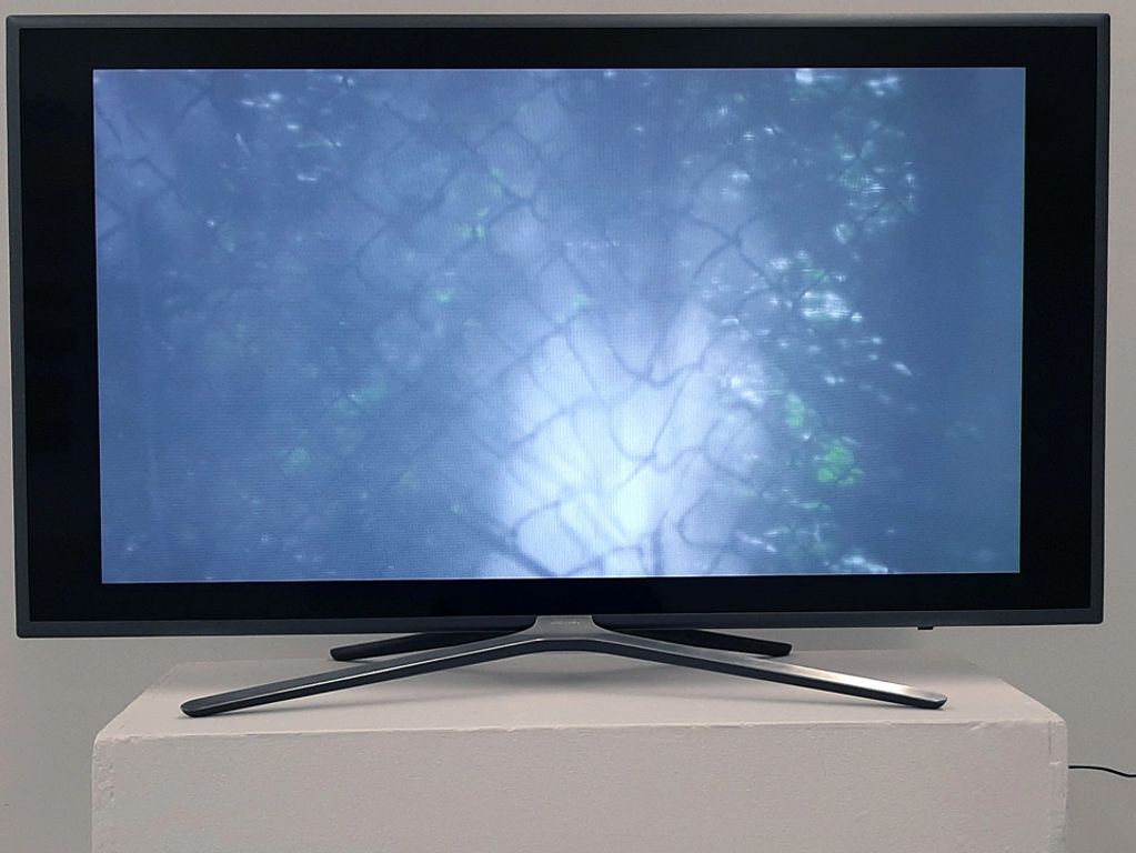 KJAER Lise, USA, untitled, 2020