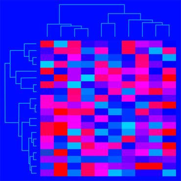 Mark Starel, Dendro & Heatmap Series - DHM_01,  50x50cm, digital graphic, 2021, jpg
