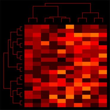 Mark Starel, Dendro & Heatmap Series - DHM_04, 50x50cm, digital graphic, 2021