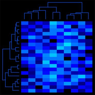 Mark Starel, Dendro & Heatmap Series - DHM_05, 50x50cm, digital graphic, 2021