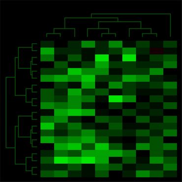 Mark Starel, Dendro & Heatmap Series - DHM_06, 50x50cm, digital graphic, 2021
