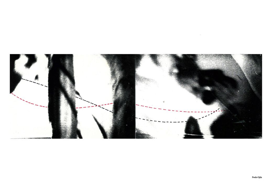 Fredo OJDA, EU_Poland