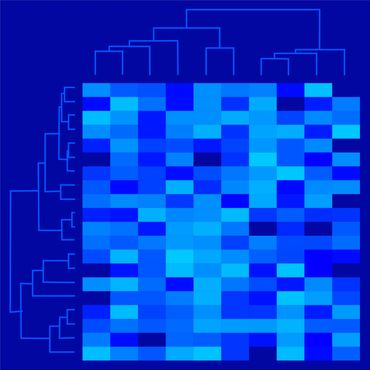 Mark Starel, Dendro & Heatmap Series - DHM_02,  50x50cm, digital graphic, 2021,