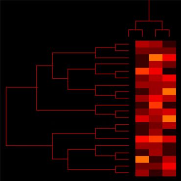 Mark Starel, Dendro & Heatmap Series - DHM_04_V2, digital graphic, 2021