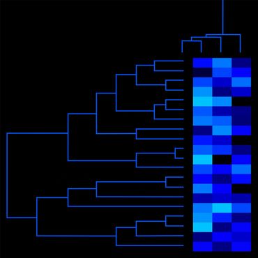 Mark Starel, Dendro & Heatmap Series - DHM_05_V2, digital graphic, 2021