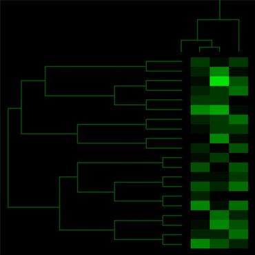 Mark Starel, Dendro & Heatmap Series - DHM_06_V2, digital graphic, 2021