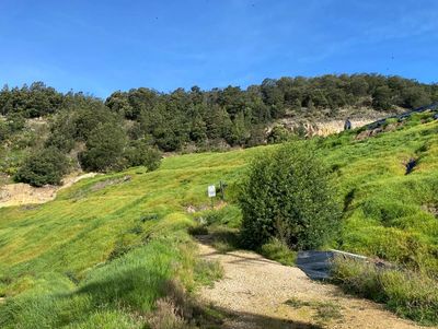 A scenic trail winding through green hills under a clear blue sky.