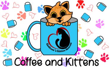 Merch Design for Non-Profit Gotham's Kitten Rescue
