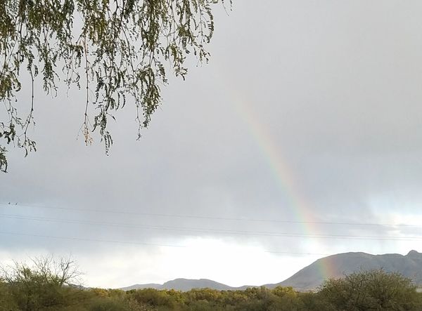 Y.Q. Hypnotherapy desert view rainbow image transformation