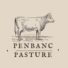 Penbanc Pasture