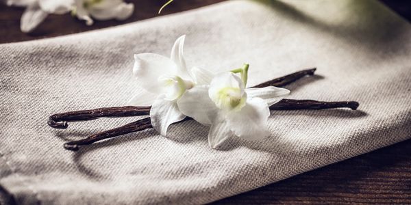 NOTRE SOIN DE LA PEAU PROBIOTIQUE contient de la gousse de vanille moulue, de l’avoine ou de l’aloe vera naturelle et adaptée au microbiome.