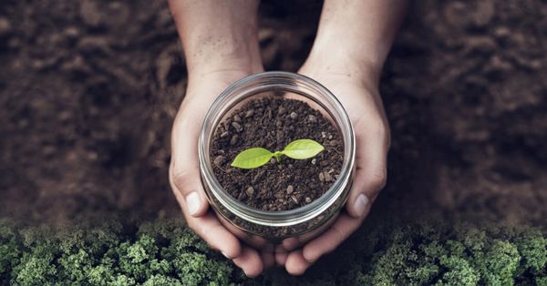 Emballage écologique de PROBIOTIC SKINCARE : Pots Mason en verre sans BPA à remplir ou à réutiliser