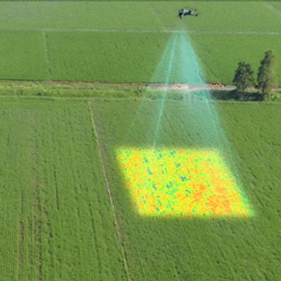 DJI Mavic 3 multispectral drone monitoring a field - North Wales Agri Drones