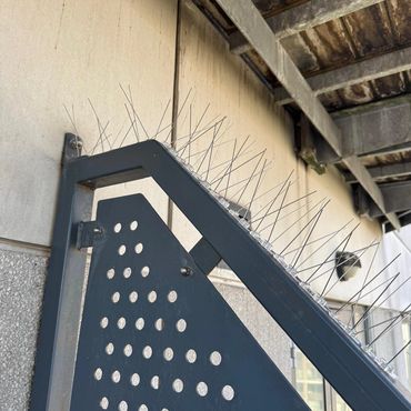 Bird proofing, Bird spikes