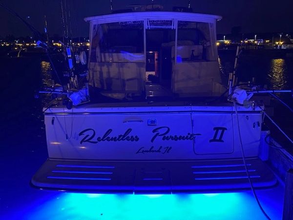 Blue underwater lights get the show started for Lake Michigan Charter Fishing experience