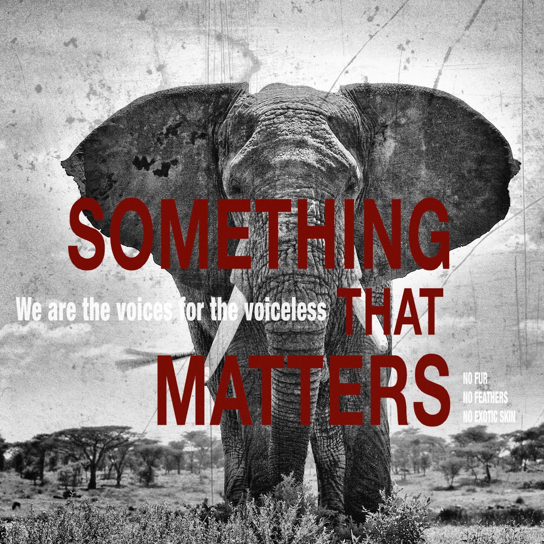 #somethingthatmatters_elephant