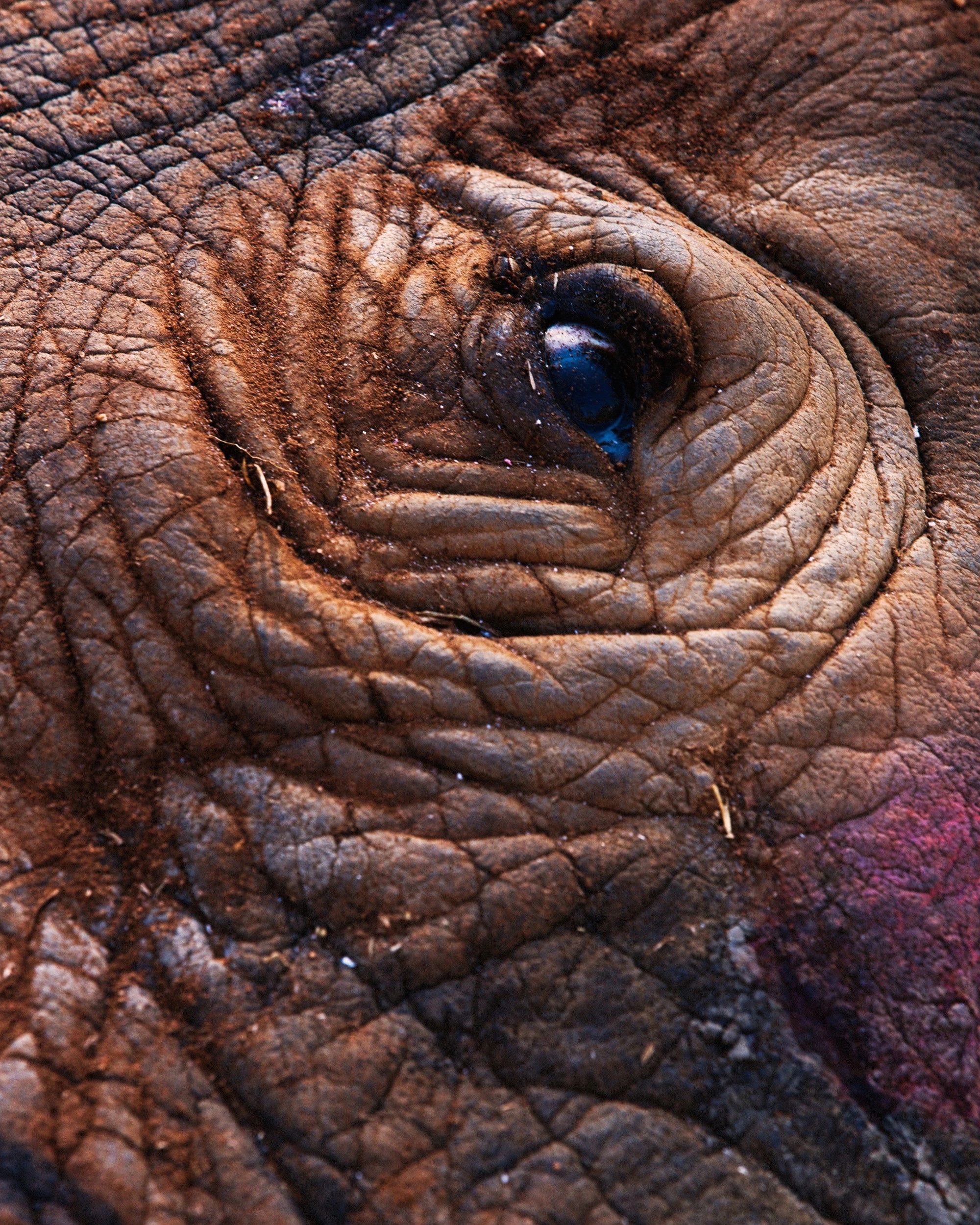 #somethingthatmatters_rhino