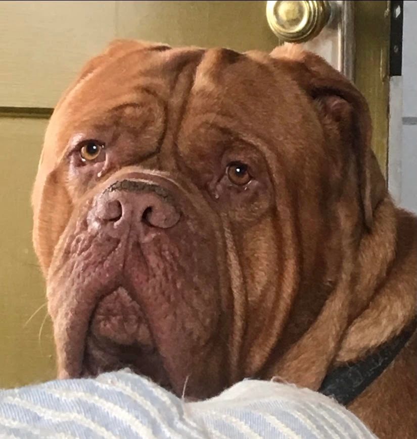 //img1.wsimg.com/isteam/ip/ebd1b550-d034-43a4-af0f-b8037ef08c2b/Briggs%20headshot.jpg/:/cr=t:0%25,l:0%25,w:100%25,h:100%25/rs=w:1300,h:800