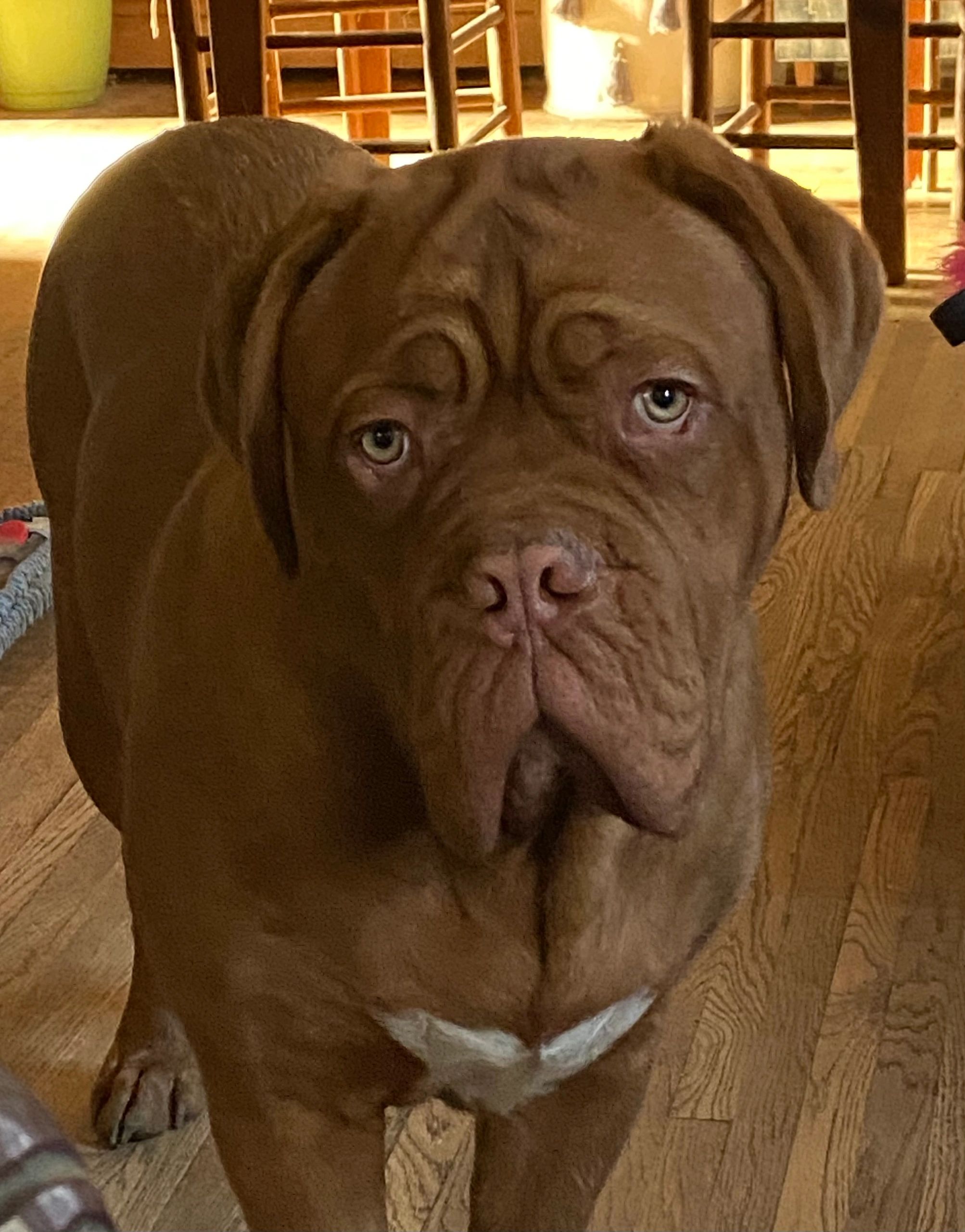 //img1.wsimg.com/isteam/ip/ebd1b550-d034-43a4-af0f-b8037ef08c2b/bookem%20for%20site.jpg/:/rs=w:1300,h:800