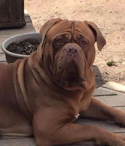 //img1.wsimg.com/isteam/ip/ebd1b550-d034-43a4-af0f-b8037ef08c2b/briggs%20main%20pic.jpg/:/cr=t:0%25,l:0%25,w:100%25,h:100%25/rs=w:1300,h:800