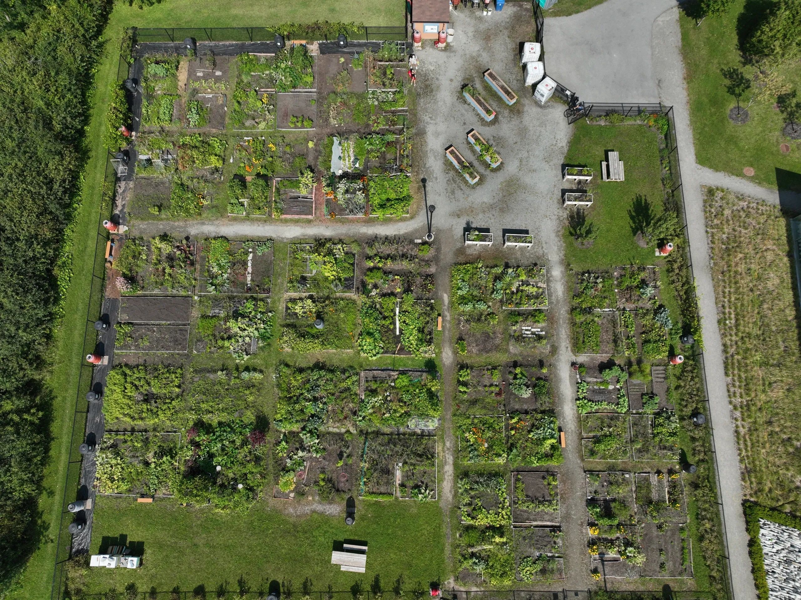 Jardin communautaire , Plateau, Hull