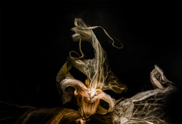 Close-up of a dried, textured leaf with intricate veins against a dark background.