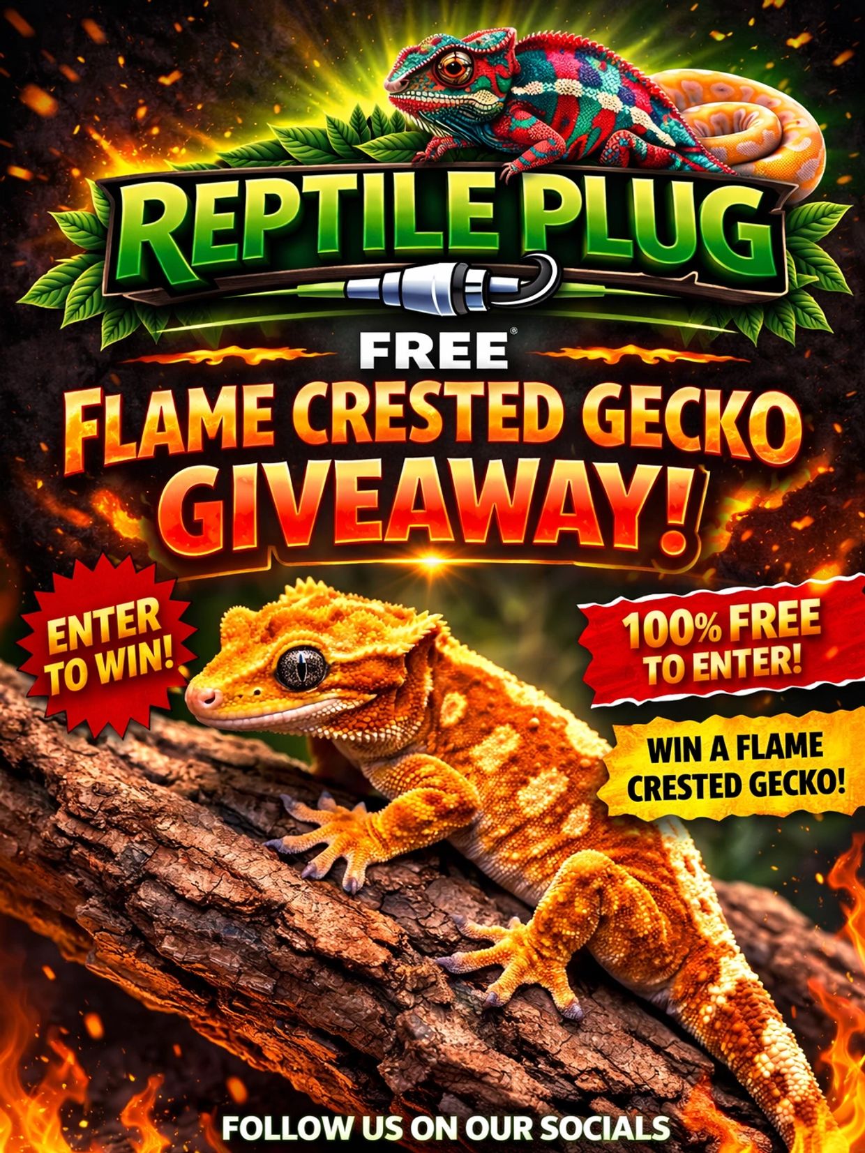 Bright ad for a free Flame Crested Gecko giveaway by Reptile Plug.
