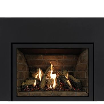 gas fireplace insert