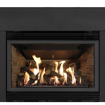 gas fireplace insert
