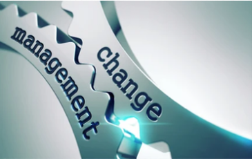 Two interlocking gears labeled 'management' and 'change'.