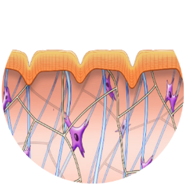 Before Exilis